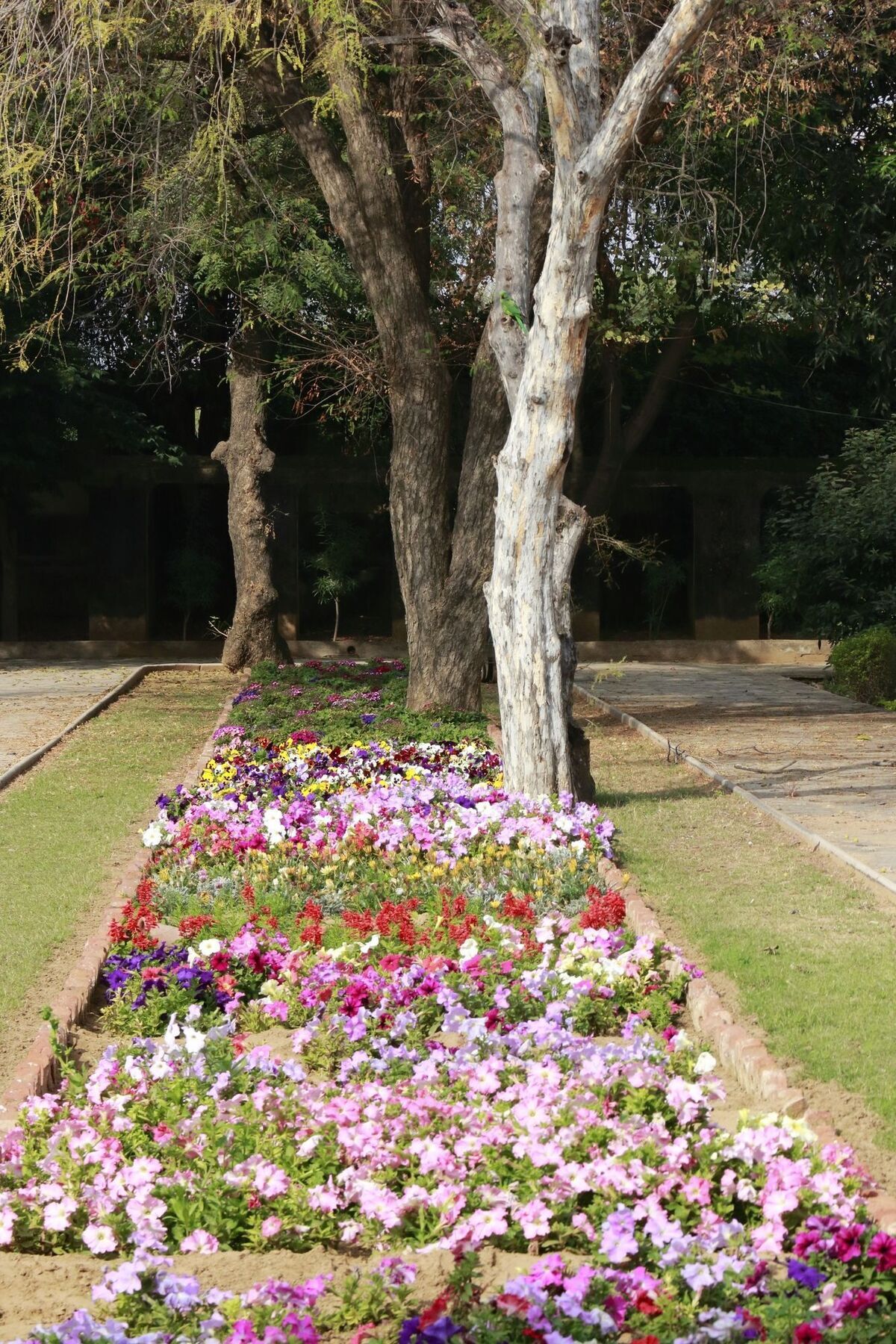 Hotel Samode Bagh Exterior foto